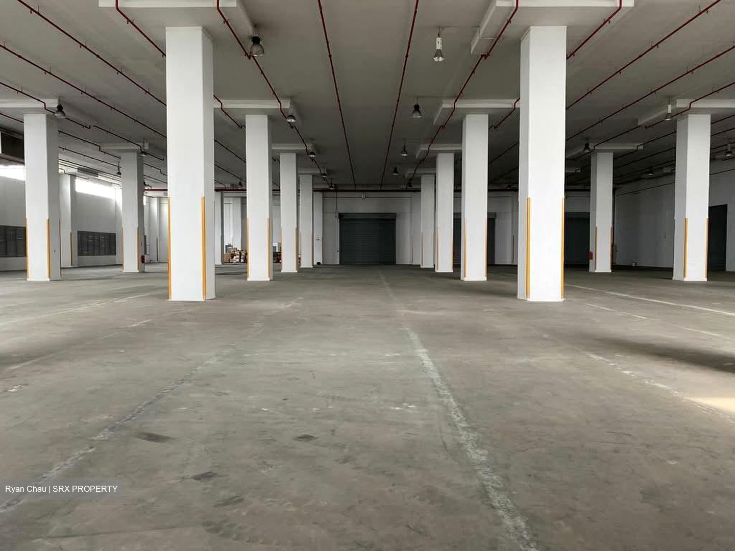 Expo Drive (D16), Warehouse #554260311